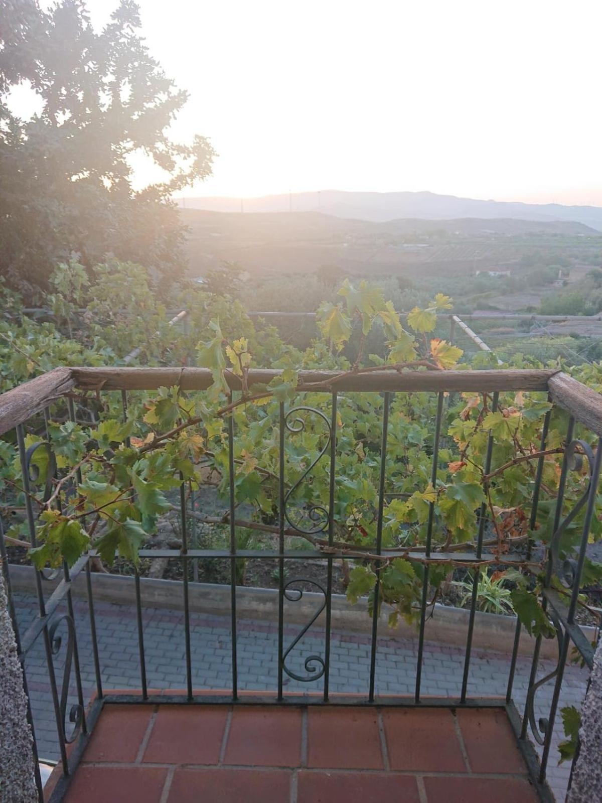 Un Balcon A Sierra Nevada Villa Lecrin Eksteriør bilde